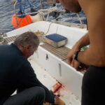 Bonite 1 -> mi cuit alla Louis