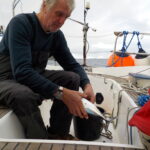 Bonite 2 -> rillettes?