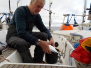 Bonite 2 -> rillettes?