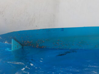 des anatifes nous collent aux fesses