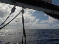 Les fous nous accompagnent