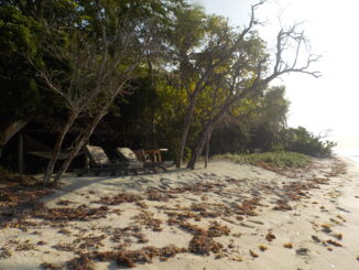 transats très chers